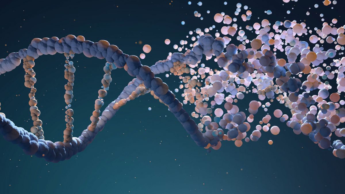 Agri-Food Nanoencapsulation Technologies