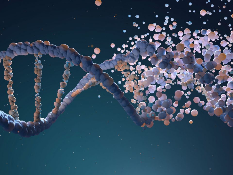 Agri-Food Nanoencapsulation Technologies